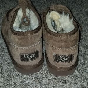 Unisex Walabee Uggs